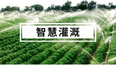 智慧灌溉解决方案 水肥一体化 自动灌溉系统
